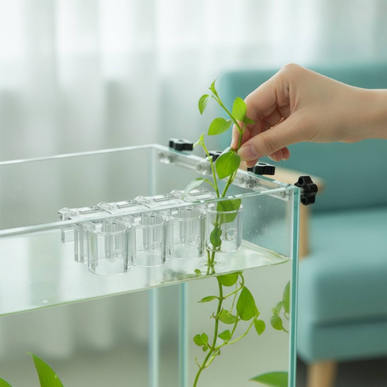 Aquarium Plant - Set di 6 Supporti per Piante