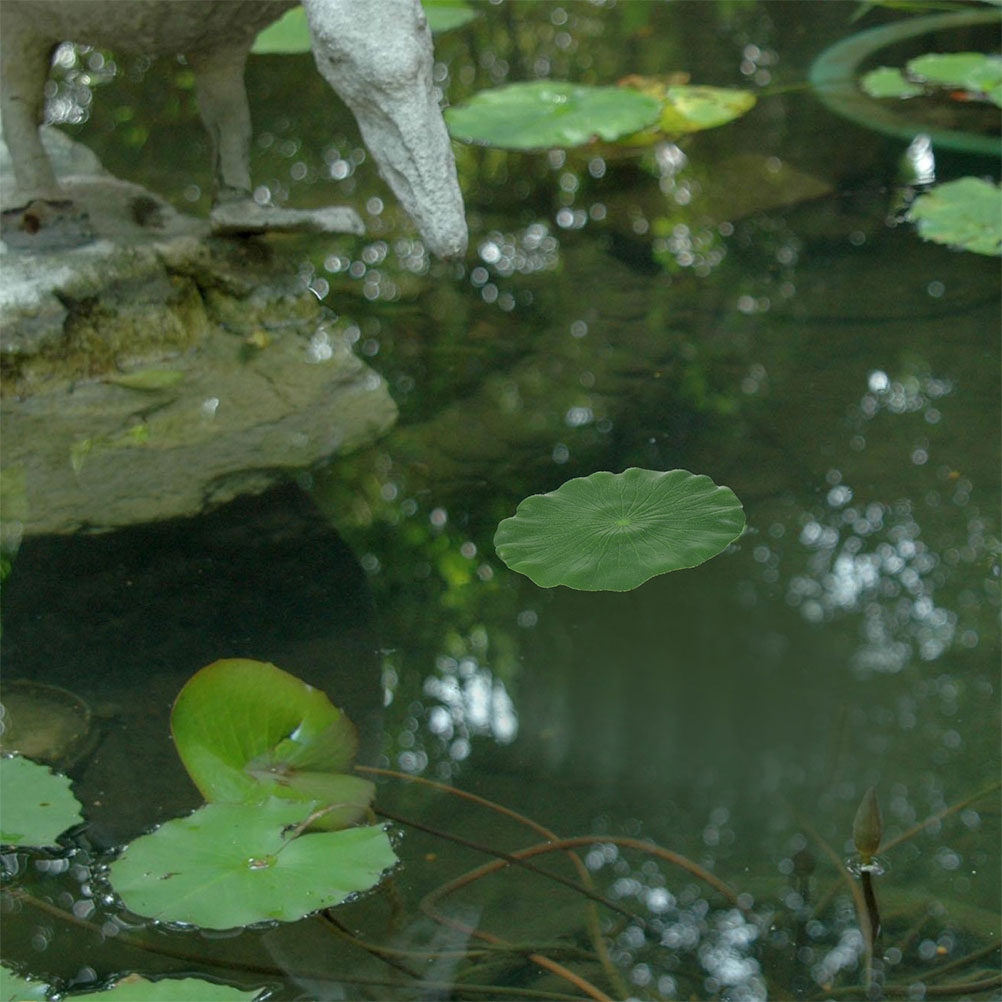 Aquarium Plant - 15 Pezzi di Foglie di Ninfea