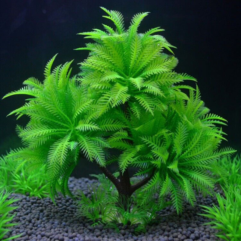 Aquarium Plant Guide - Acquario Pianta di simulazione decorativa Acqua