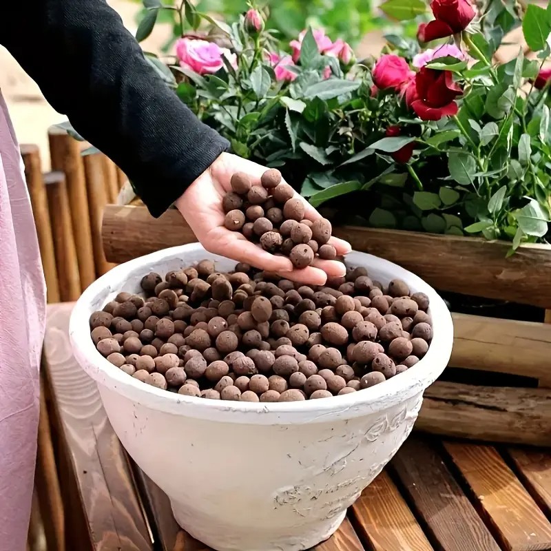 Pellet di terracotta leggeri e - Aquarium Plant recensione e prezzo
