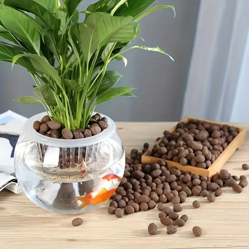 Pellet di terracotta leggeri e - Aquarium Plant recensione e prezzo