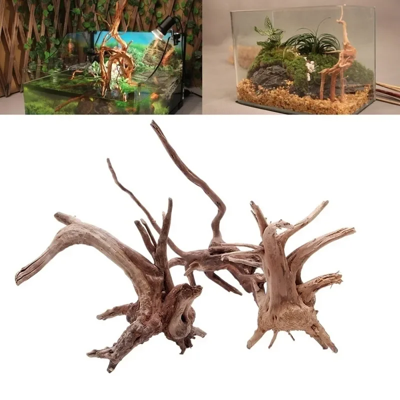 Tronco d'albero naturale Drift - Aquarium Plant Guide recensione e prezzo
