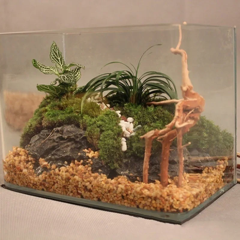 Tronco d'albero naturale Drift - Aquarium Plant Guide recensione e prezzo