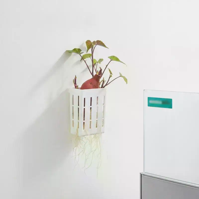 1 Pezzo Cestino di Supporto Id - Aquarium Plant recensione e prezzo