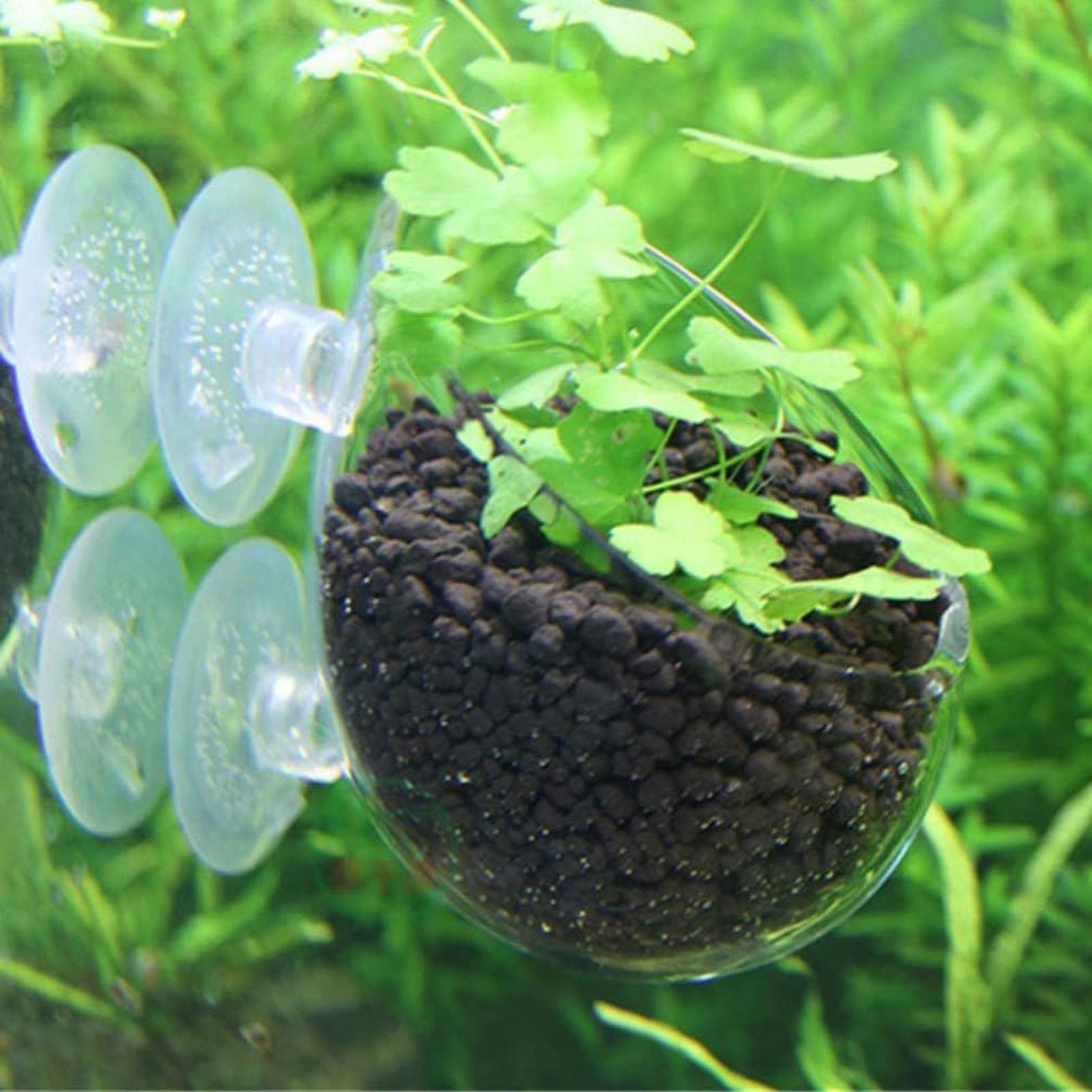 Supporto per Piante Acquatiche - Planted Aquarium Media recensione e prezzo