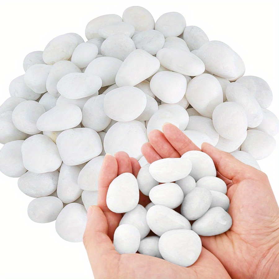200/400g Bianco Alto Lucido Ci - Aquarium Plant recensione e prezzo