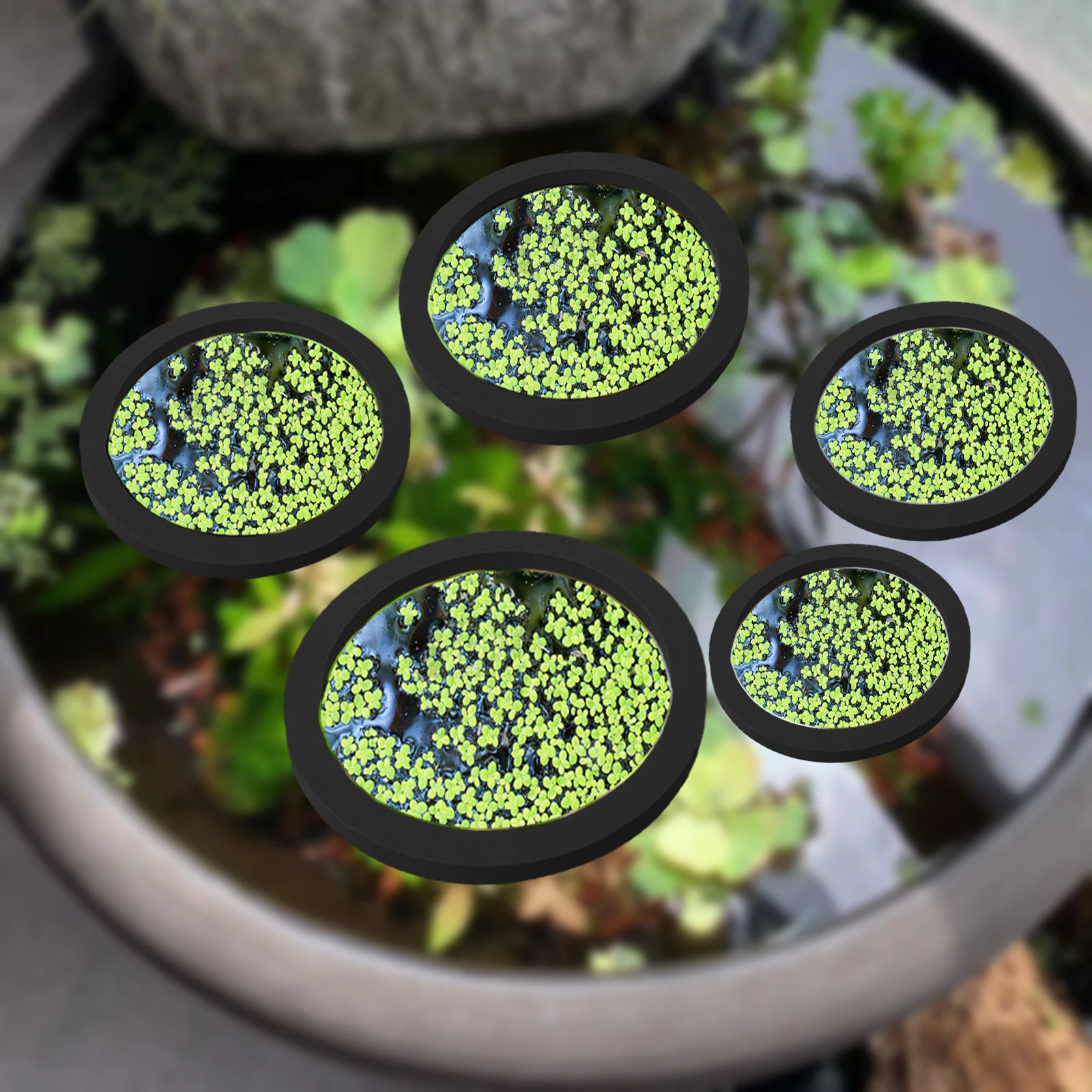 5 pz EVA Anello di Alimentazio - Aquarium Plant recensione e prezzo