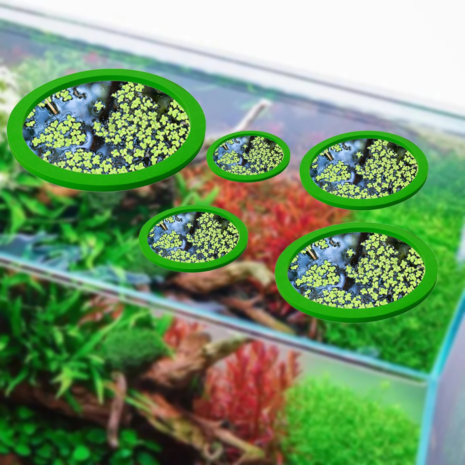 5 pz EVA Anello di Alimentazio - Aquarium Plant recensione e prezzo