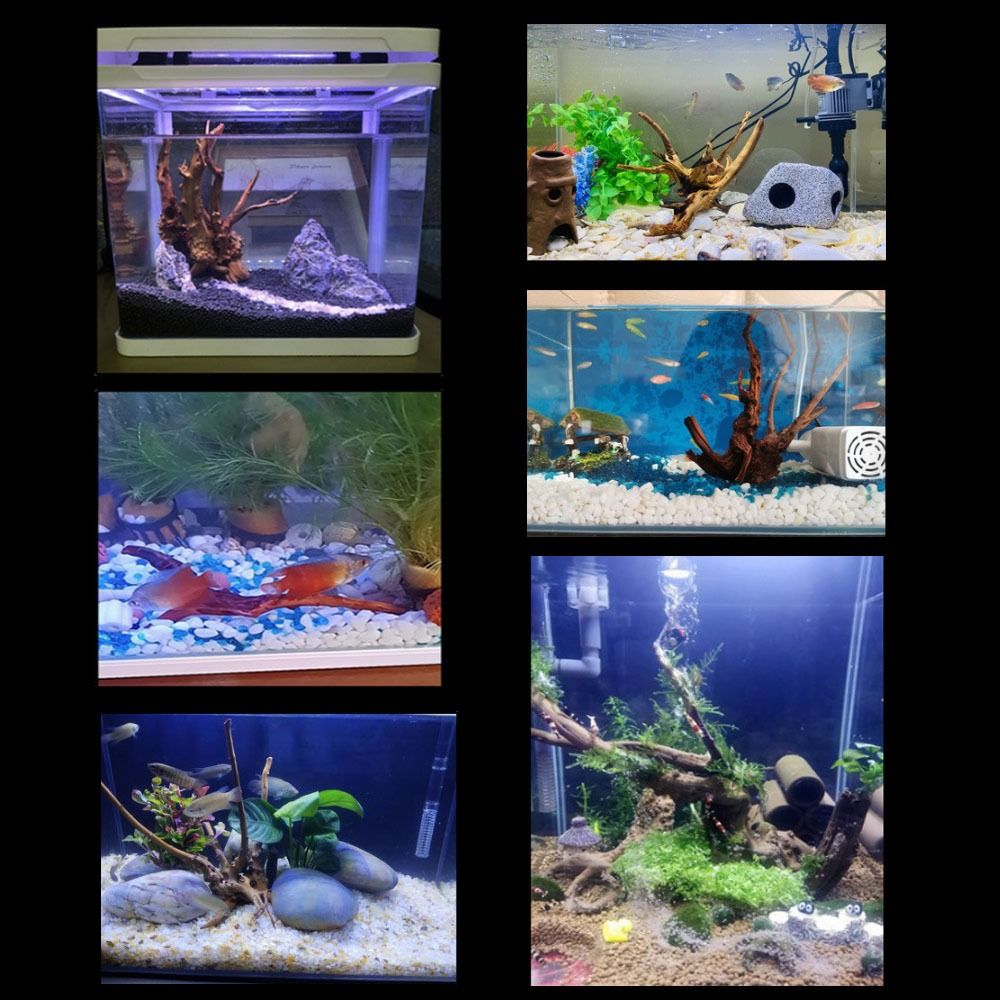 Legno Naturale per Acquario 20 - Aquarium Plant Guide recensione e prezzo