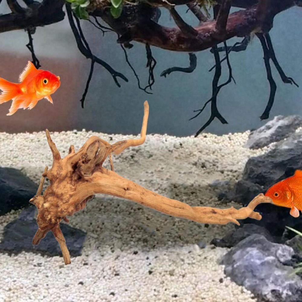 Legno Naturale per Acquario 20 - Aquarium Plant Guide recensione e prezzo