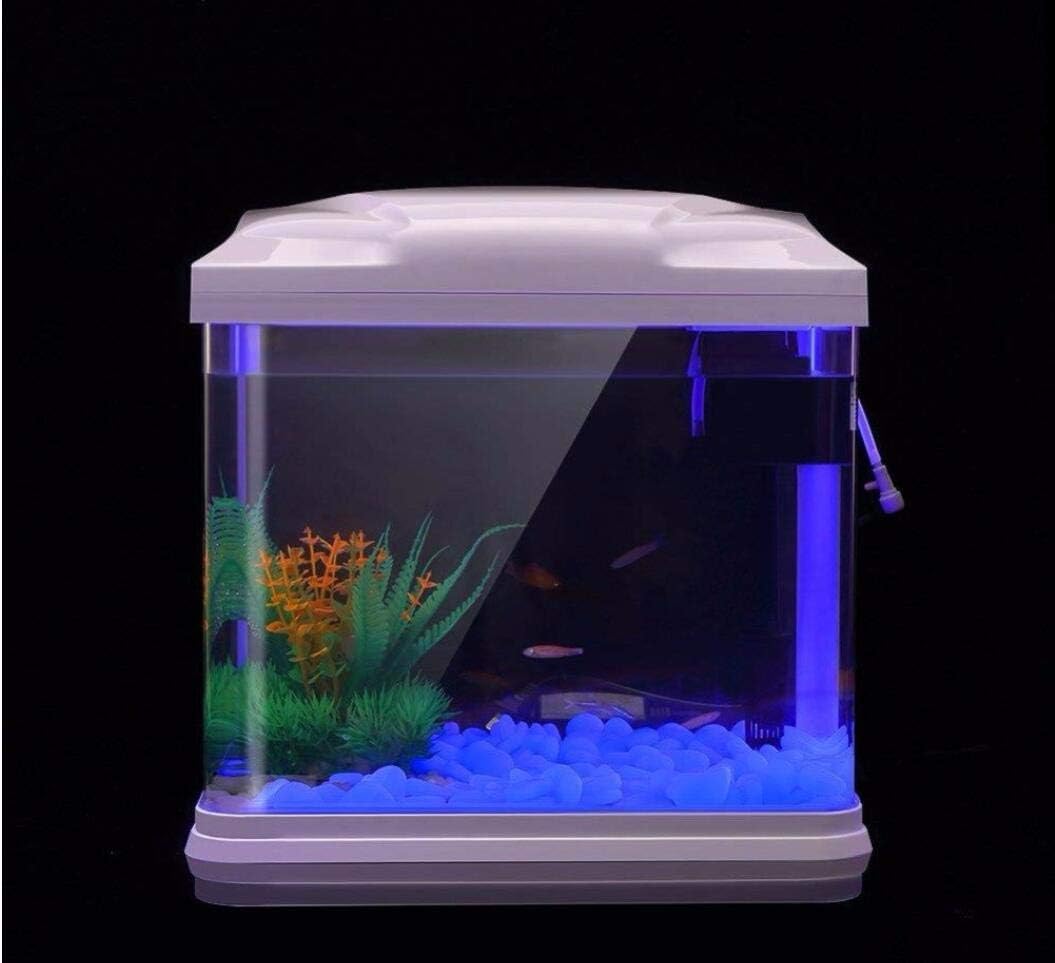 Rocce per acquari che si illum - Aquarium Plant recensione e prezzo