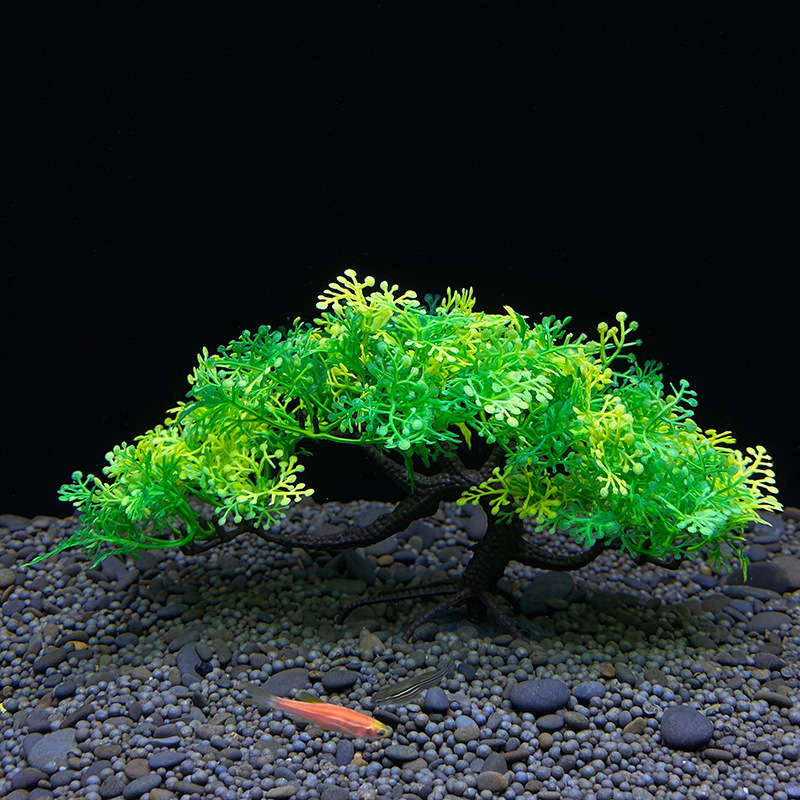 Albero bonsai per acquario, pi - Aquarium Plant Guide recensione e prezzo