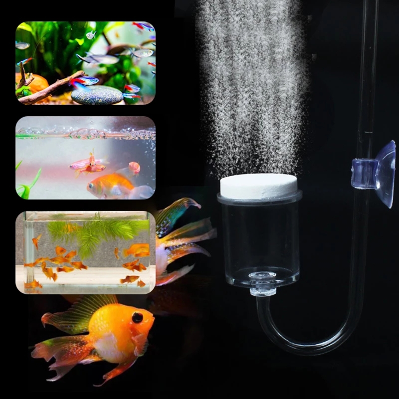 Set da 4 pezzi diffusore di CO - Planted Aquarium Media recensione e prezzo
