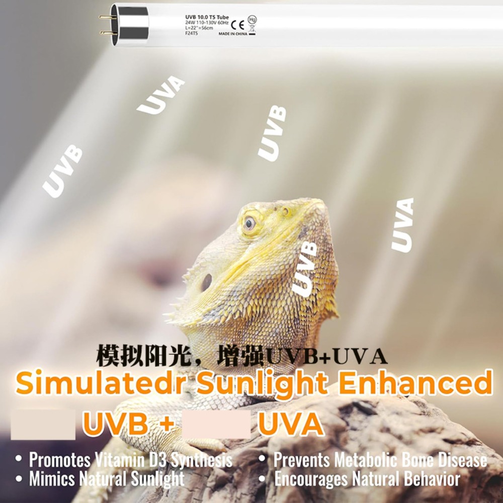 Terrario piantato e rettile Il - Led Planted Tank Light recensione e prezzo
