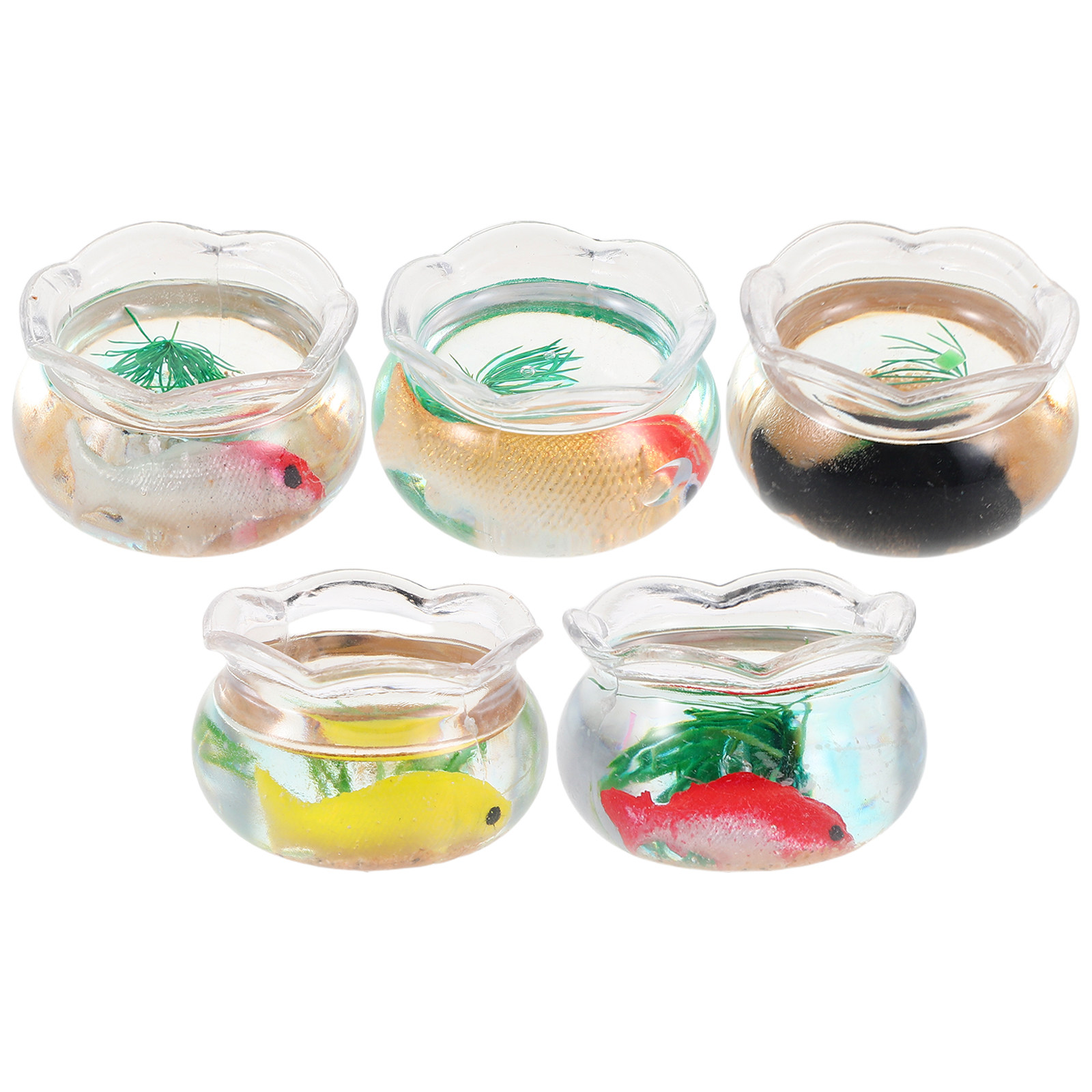 5 Pezzi di Mini Acquari Rotond - Aquarium Plant recensione e prezzo